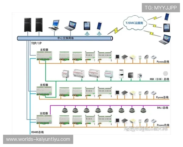 开云体育国际开户指南全面解析新手注册流程与常见问题解决方案