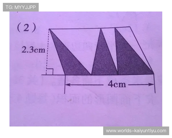开运网03ky在不同年龄段用户中的应用效果与使用建议